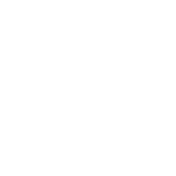 Home 3 snowflake